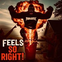 Fiddlestix - Feels so Right