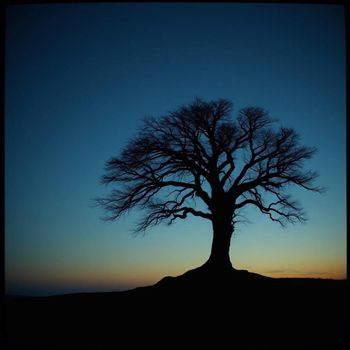 AdN - Roots