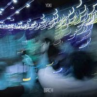 YOKI - Birch