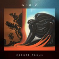 DROID - Eroded Forms