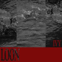 IVY - Loon