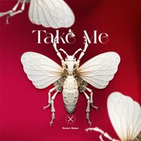 Swen Baez - Take Me (Extended Mix)