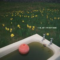 Polezsky - Im Not Here
