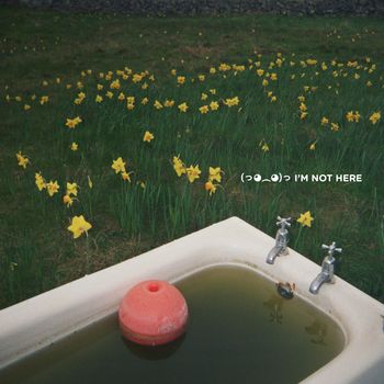 Polezsky - Im Not Here