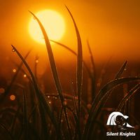 Silent Knights - Radiant Reverberations