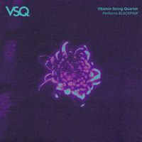 Vitamin String Quartet - VSQ Performs BLACKPINK