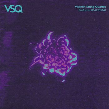 Vitamin String Quartet - VSQ Performs BLACKPINK