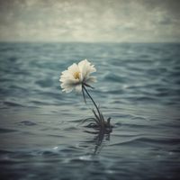 Diamond - Life Can Be Sad