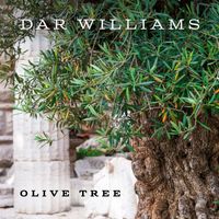 Dar Williams - Olive Tree