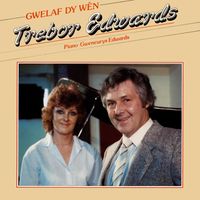 Trebor Edwards - Gwelaf Dy Wên