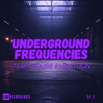 Various Artists - Underground Frequencies: Tech-House Evolution, Vol. 11 (Explicit)
