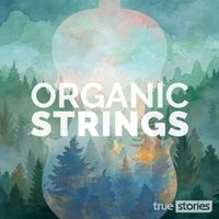 Andrew Lord, Ella Ryan, Gary Bishop - Organic Strings