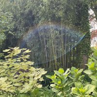 Deimos - Pom Pom Lake