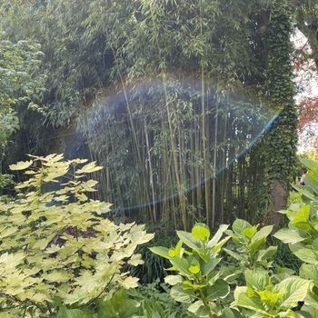 Deimos - Pom Pom Lake