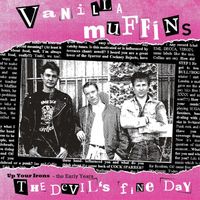 Vanilla Muffins - Up Your Irons