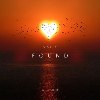Found - Vol 2. Mixed Signals