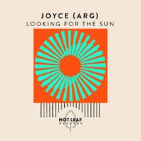 Joyce (ARG) - Looking For The Sun (Extended Mix)