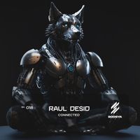 Raul Desid - Connected