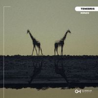 KENZO - Tenebris