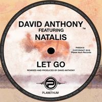 David Anthony - Let Go