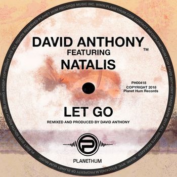 David Anthony - Let Go