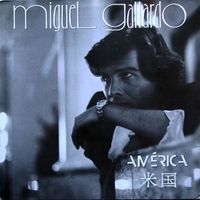 Miguel Gallardo - América