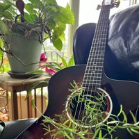 Andy Taylor - Acoustic Taylor