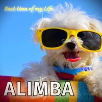 Alimba - Best Time of My Life (Explicit)