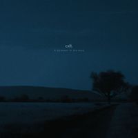 cxlt. - A Shimmer in the Void