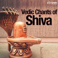 Ved Vrind - Vedic Chants of Shiva