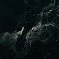 DUPØUY - Ausencia De Luz