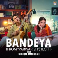 Shafqat Amanat Ali - Bandeya (From "Parwarish") [Lo-Fi]