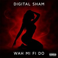 Digital Sham - Wah Mi Fi Do (Explicit)