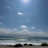 sixty - peter parker