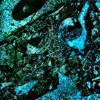 Mississippi - Climbing The Beanstalk