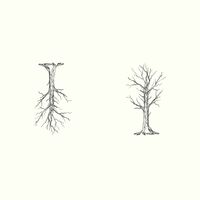 LOTI - Nevertheless