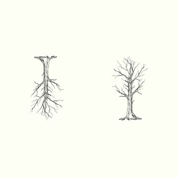 LOTI - Nevertheless