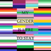 Andras Toth - My Gender Is Here to Stay