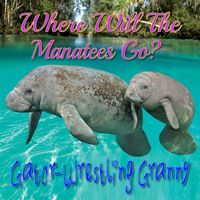 Gator-Wrestling Granny - Where Will The Manatees Go?