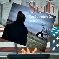 Seth - Seule reste la peine