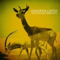 Kosheen - Catch (2025 Reload-Remix, Pt.1)