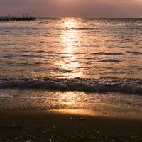 PORT 14 - On a Summer Day