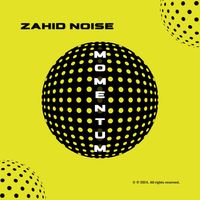 Zahid Noise - Momentum