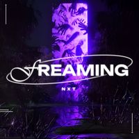NxT - Freaming