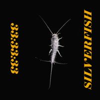 SILVERFISH - 33:33:33