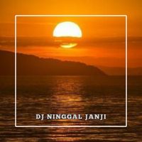 DJ UNKNOWN - Ninggal janji