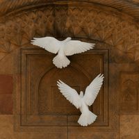 MANOR - doves