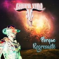 Grupo Vida - Porque Regresaste