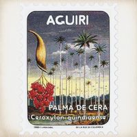 Pollen - Aguiri