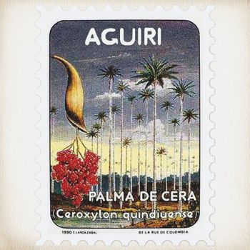 Pollen - Aguiri